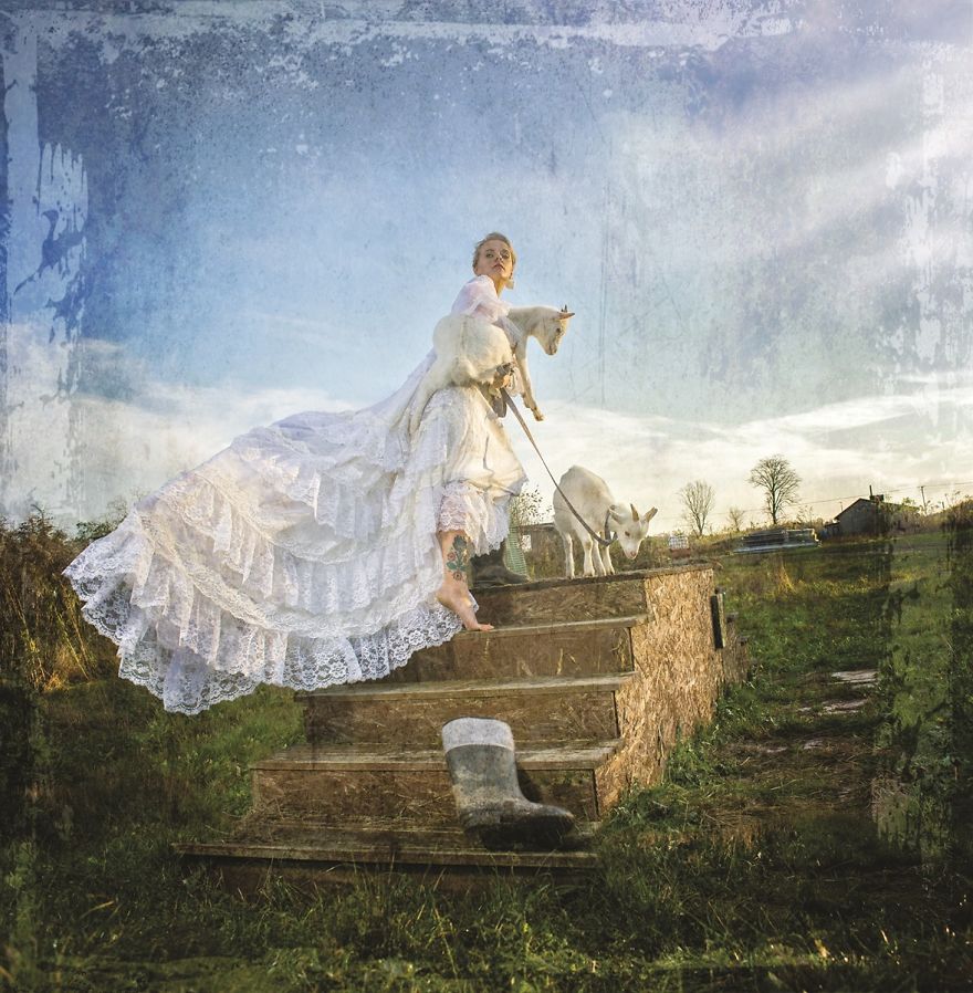 We Made A Magic Fairy-Tales Calendar For An Animal Shelter In Pl