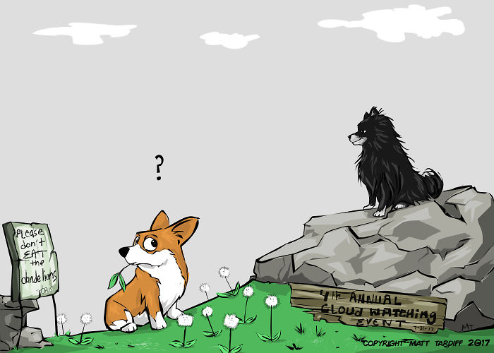 You And The Pets You Love