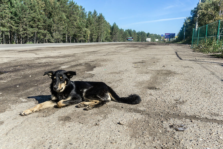 In The Far East - I Visited Olkhon Island