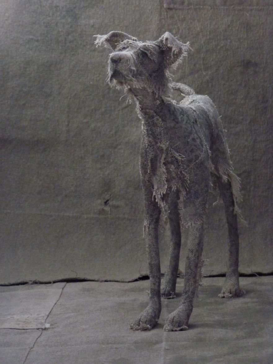 Artist Makes Sad Dogs With Old Clothes And The Result Is Incredible