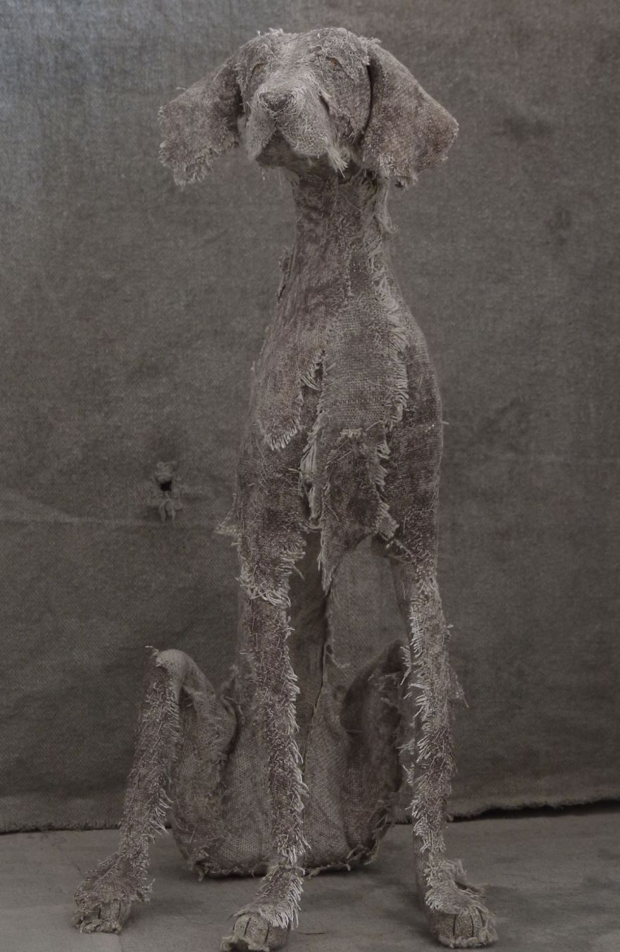 Artist Makes Sad Dogs With Old Clothes And The Result Is Incredible