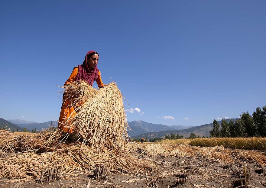Kashmir’s Enchanted Valley