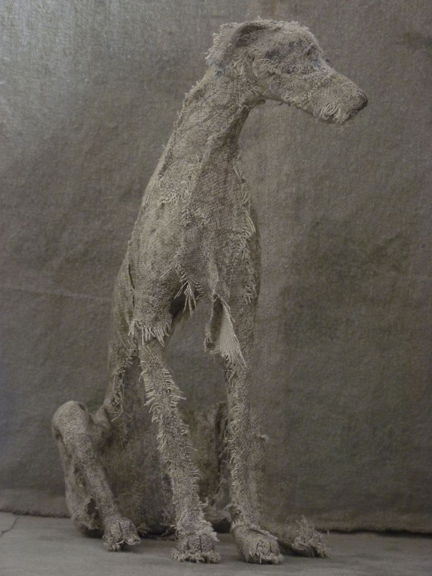 Artist Makes Sad Dogs With Old Clothes And The Result Is Incredible