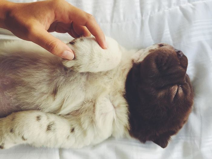 Time To Wake Up Sweet Little Prince!