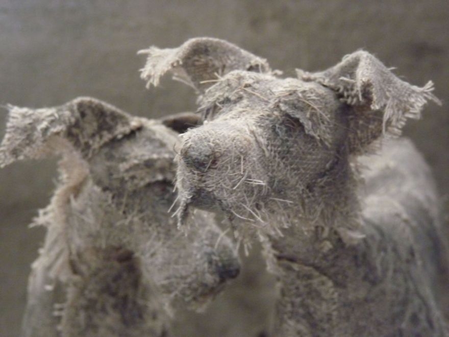 Artist Makes Sad Dogs With Old Clothes And The Result Is Incredible