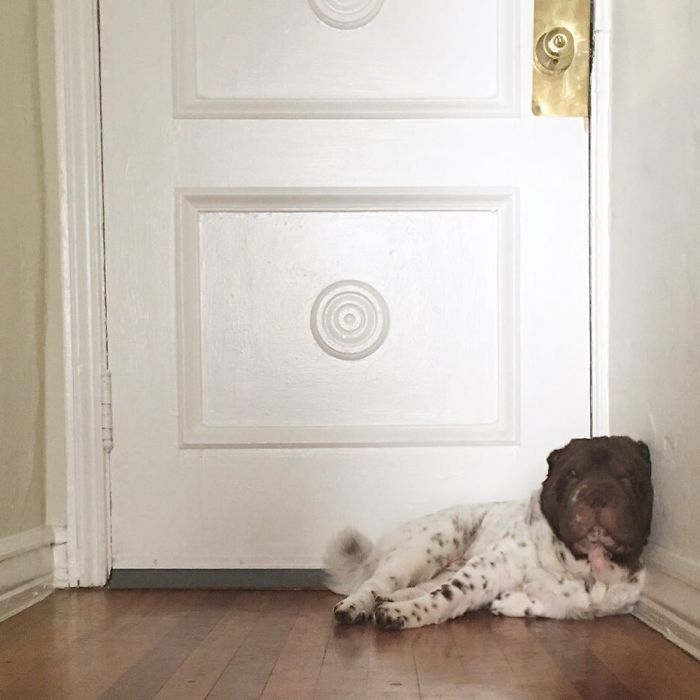 Thou Shall Not Pass!