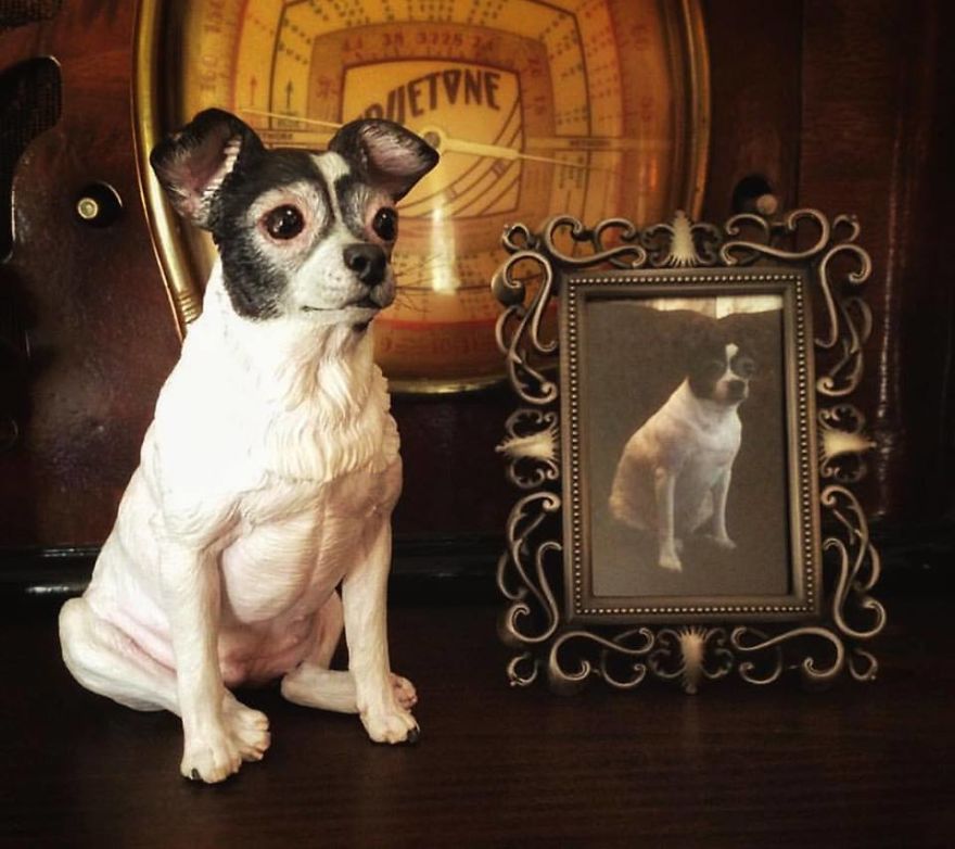 This Artist Makes Replicas Of Pets And The Result Is Lovely This Artist Makes Replicas Of Pets And The Result Is Lovely