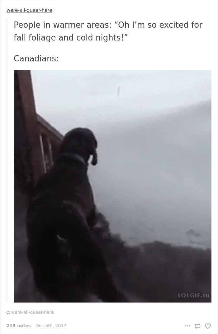 Funny-Canada-Jokes-Memes-Tumblr