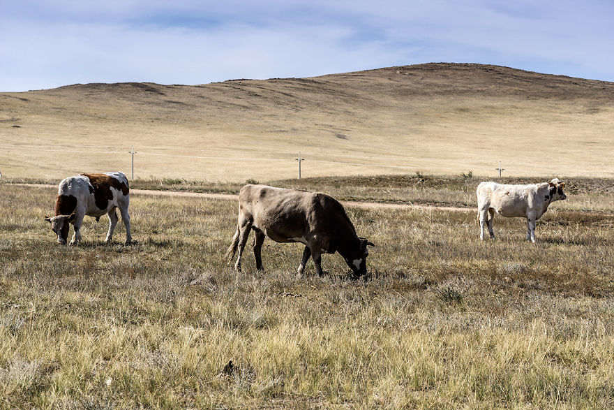 In The Far East - I Visited Olkhon Island In The Far East - I Visited Olkhon Island