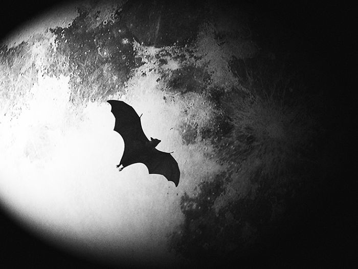 I Made A Surrealistic Story About Batman I Made A Surrealistic Story About Batman