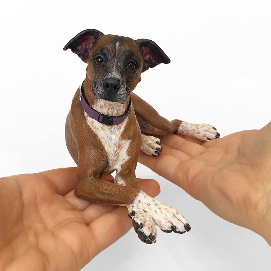 This Artist Makes Replicas Of Pets And The Result Is Lovely This Artist Makes Replicas Of Pets And The Result Is Lovely