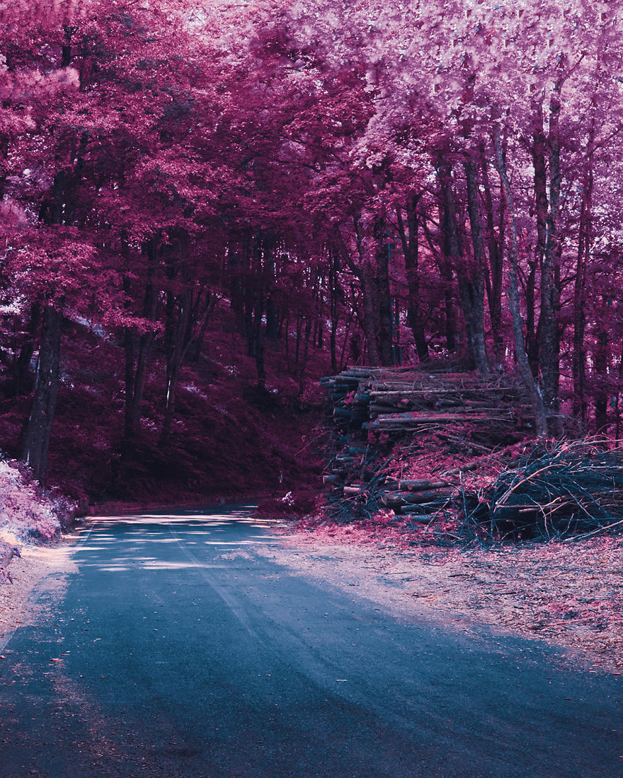 I Take Pictures That Look Like Japanese Anime