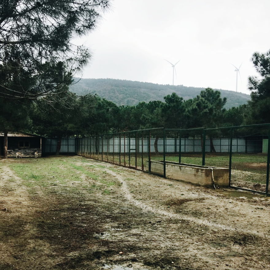 I Photographed Istanbul And Some Cities In Turkey.