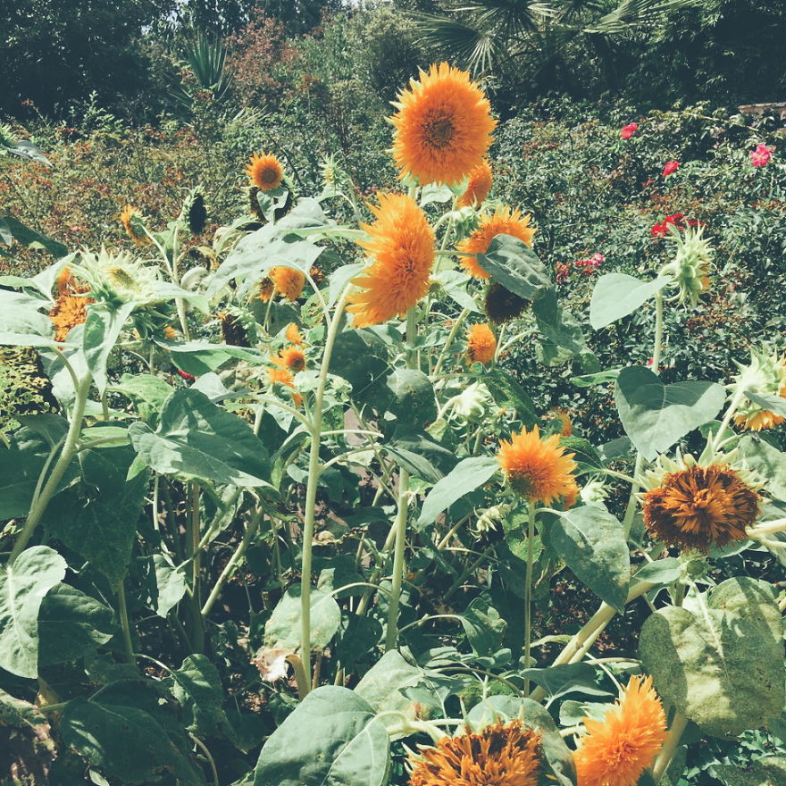 I Photographed Istanbul And Some Cities In Turkey.