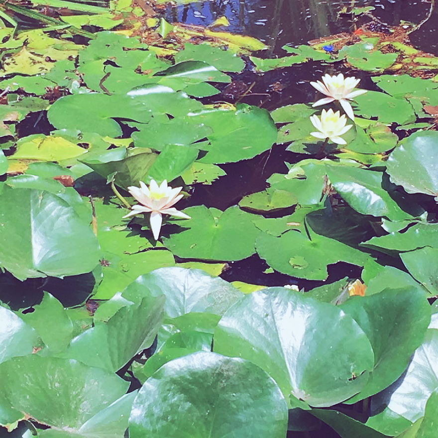 I Photographed Istanbul And Some Cities In Turkey.