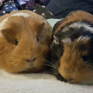 mrsjonnaperry avatar