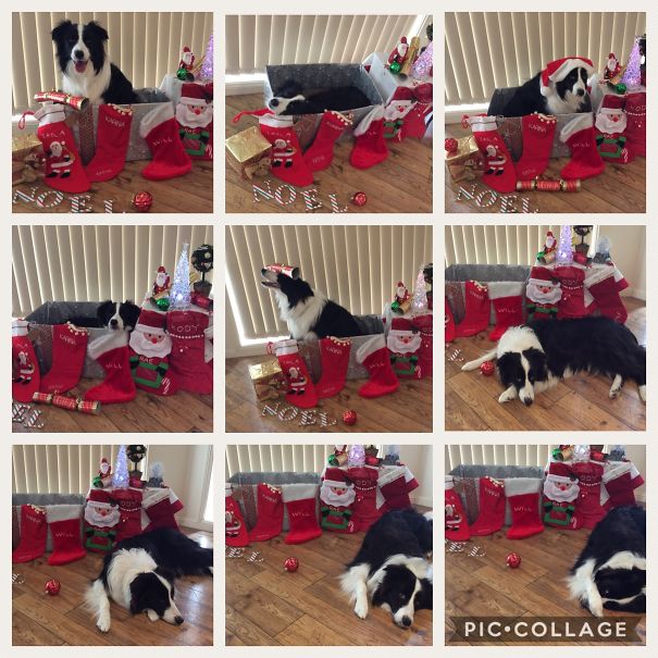 Trix Had Had Enough By The End Of The Photo Shoot!