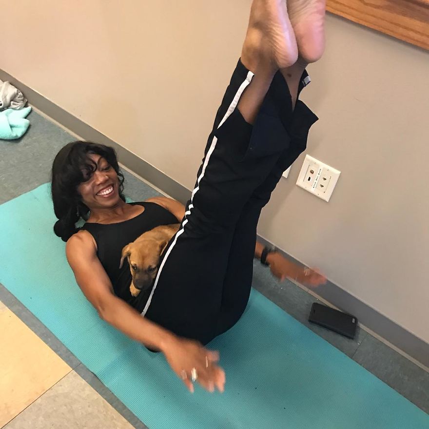 Puppy Pilates, The Training Trend That Will Leave You Wanting To Enroll Immediately Puppy Pilates, The Training Trend That Will Leave You Wanting To Enroll Immediately