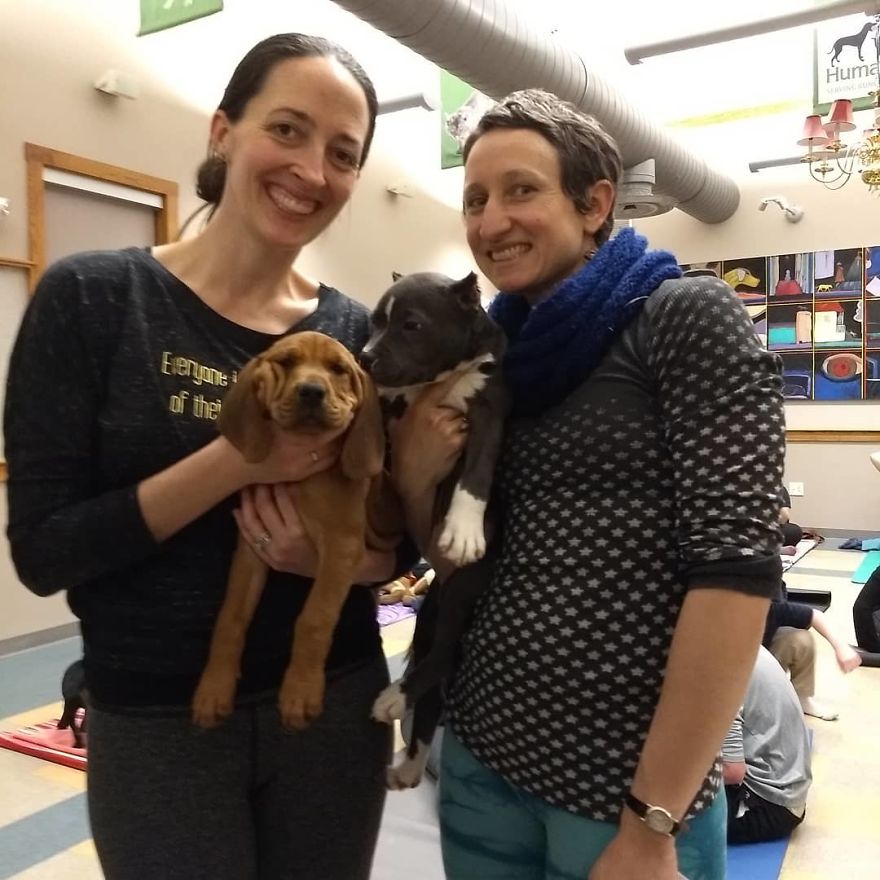 Puppy Pilates, The Training Trend That Will Leave You Wanting To Enroll Immediately