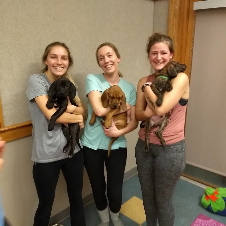 Puppy Pilates, The Training Trend That Will Leave You Wanting To Enroll Immediately