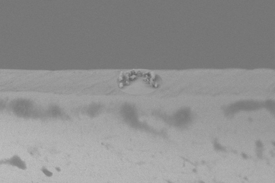 Pope Francis Receives The World's Smallest Nativity Scene For Christmas