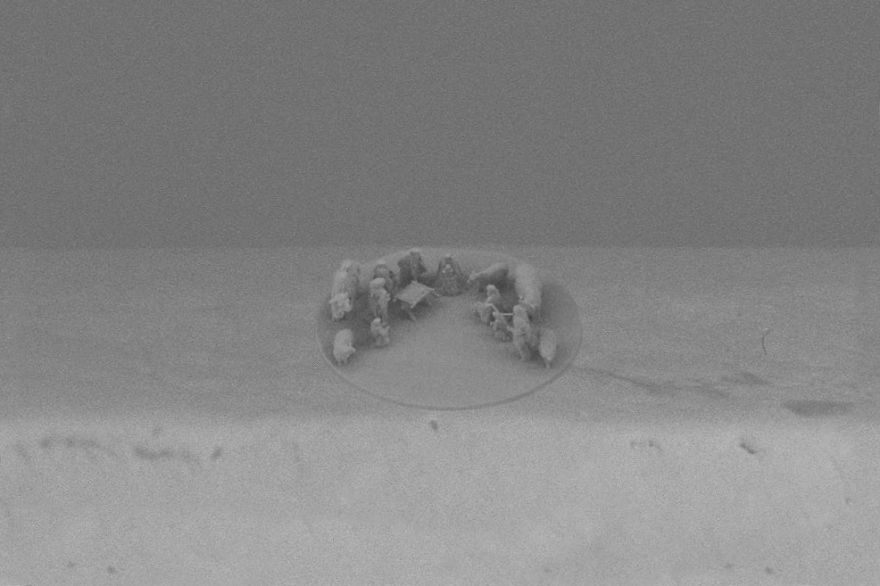 Pope Francis Receives The World's Smallest Nativity Scene For Christmas