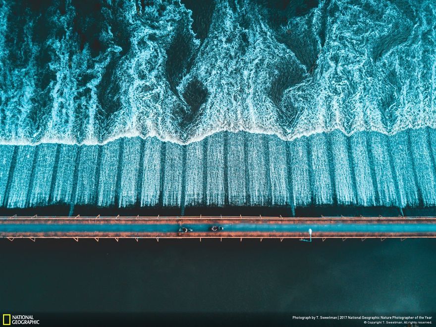 River Crossing - Bike Bridge, T. Sweetman