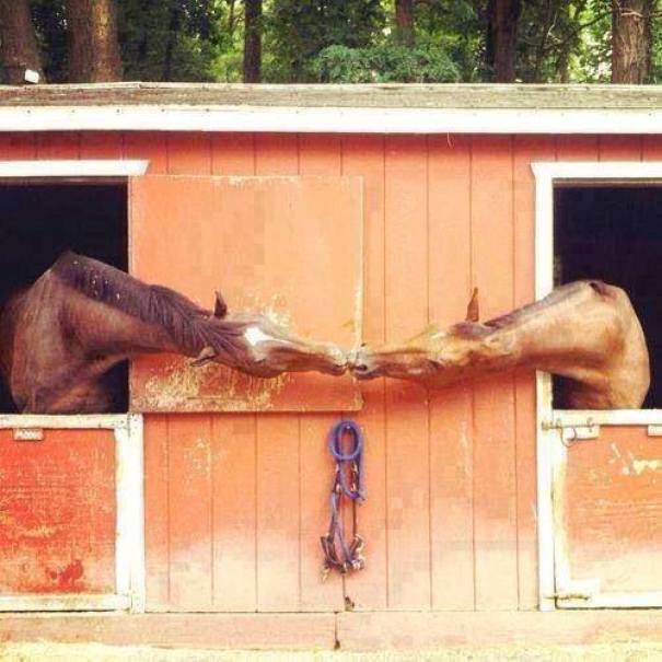 A Stable Relationship