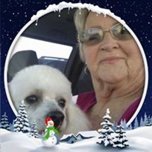 chantillyshay avatar