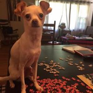 heidi_lehrman avatar