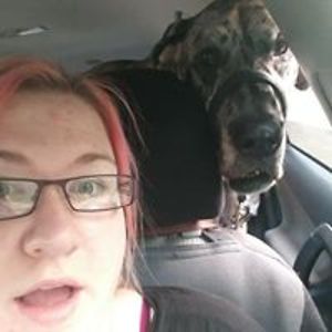 imlookinatchu avatar