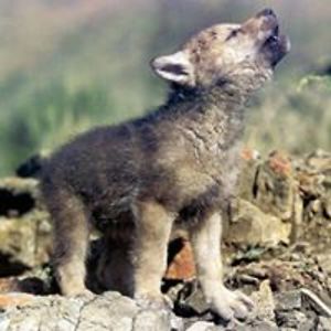 michelle_baker avatar