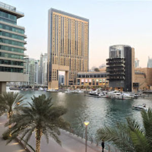 mohamedalkaabi avatar