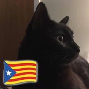 ravingscholar avatar