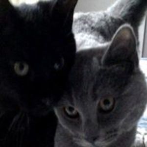 constance_carter avatar