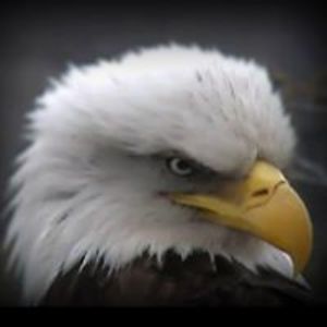 needtoretire700 avatar