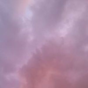 l_michelle999 avatar