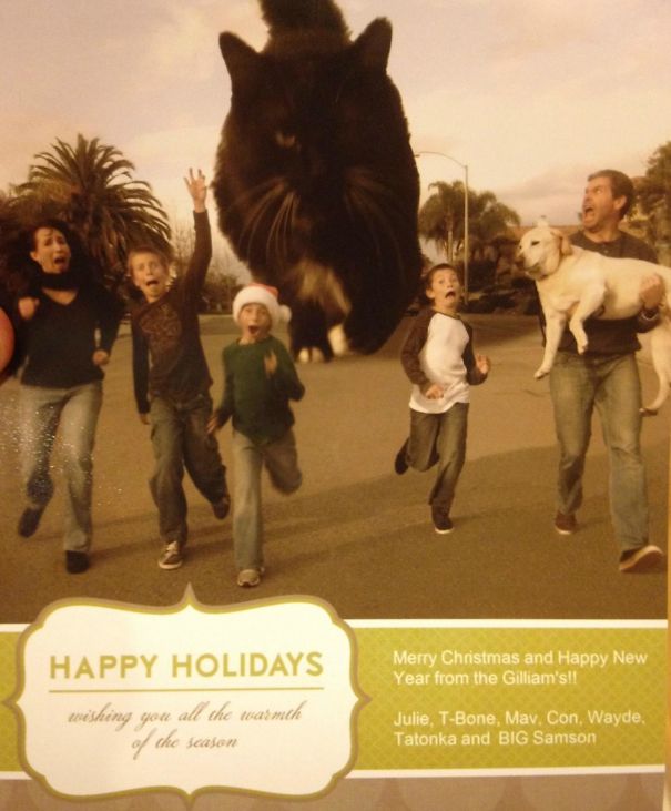 I Present To You My Vote For Best Christmas Card Of 2011
