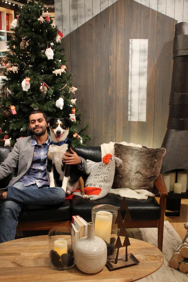 Me And My Dog Are Doing A Christmas Card This Year