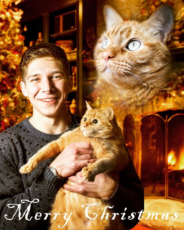 My Single Guy Christmas Card