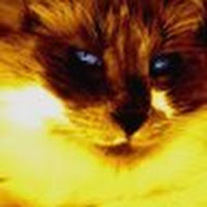 imaginarilybe avatar