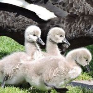 kim_overton55 avatar