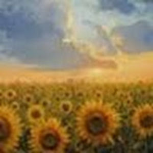 wendybenedict avatar