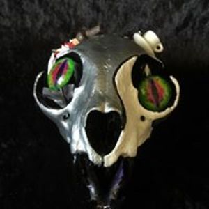 purplesquirrel27 avatar