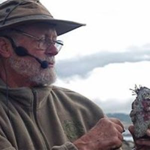 mbuttmann_thierry avatar