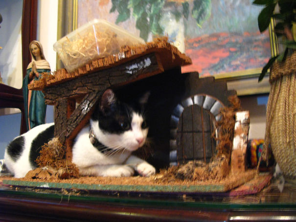 Ok, So Where Did Baby Jesus Go?