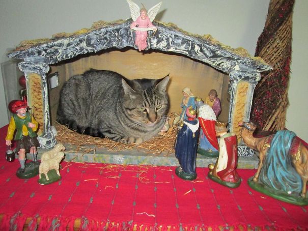 Tank Is Determined To Upstage Baby Jesus