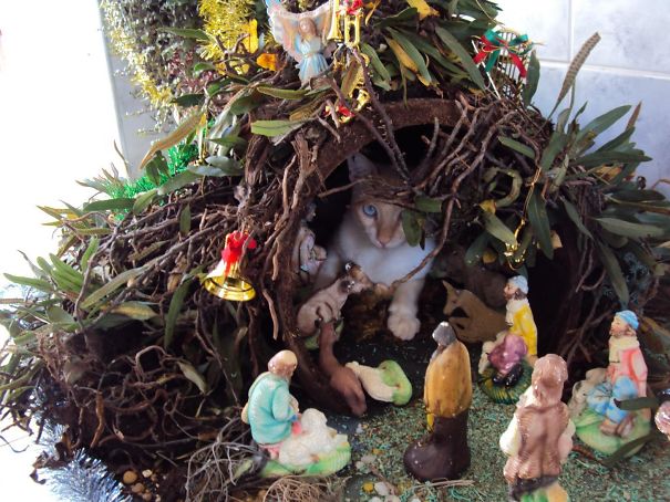 Awaaaaay In The Manger... Oh...