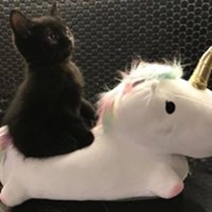 miss_helenaivanova avatar