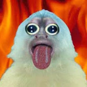 stevechaparro avatar